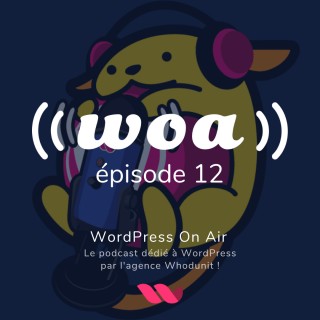 WOA! (WordPress On Air) #12 - Maintenance et éco-conception