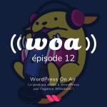 WOA! (WordPress On Air) #12 - Maintenance et éco-conception