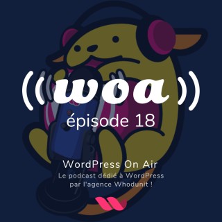 WOA! (WordPress On Air) #18 - Joffrey Jochum, Le Design System
