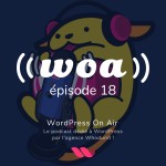 WOA! (WordPress On Air) #18 - Joffrey Jochum, Le Design System